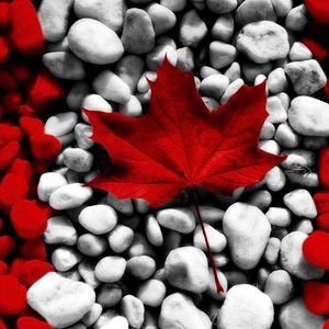 Meet your Posher, Stan